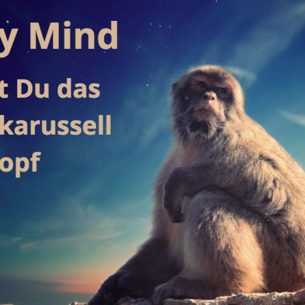 Episode 63 Monkey Mind